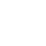 Logo TNZT blanc
